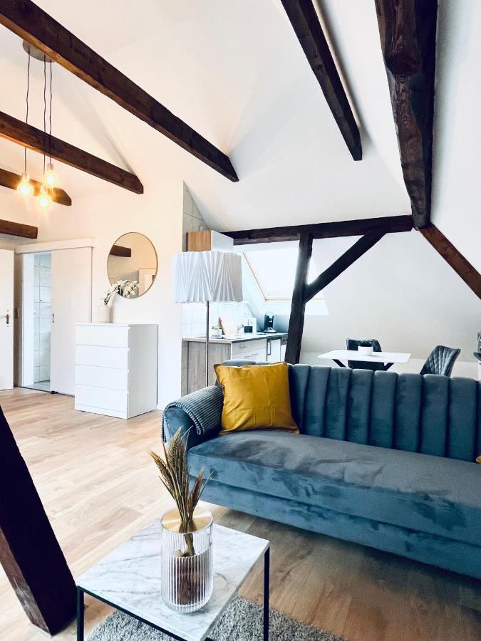 Cityapartment-Smarttv-Kitchen-Car Parking Space-Wlan Erfurt Buitenkant foto